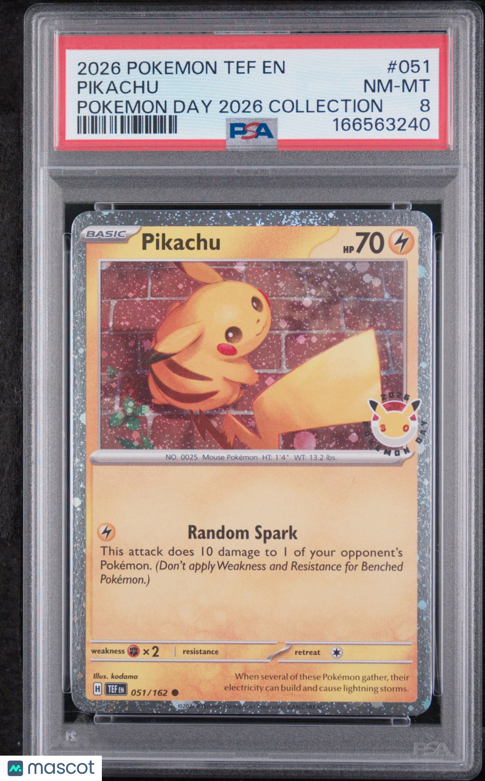 2026 Pokemon Tef EN-Temporal Forces Pikachu Pokemon Day 2026 Collection PSA 8